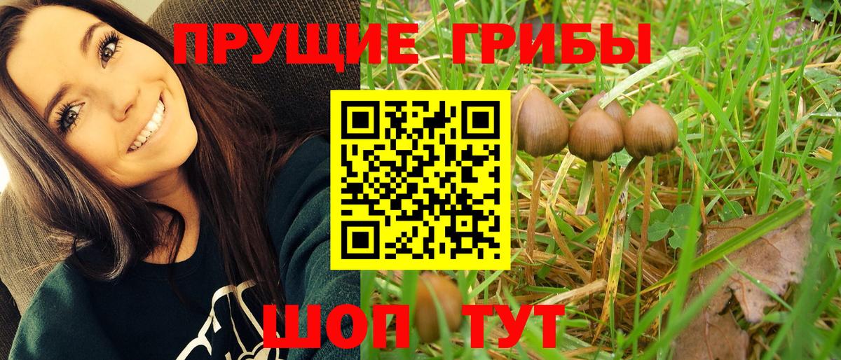 Галлюциногенные грибы Psilocybe  Галлюциногенные грибы Magic Shrooms  где можно купить   Вход с VPN  Туапсе 
