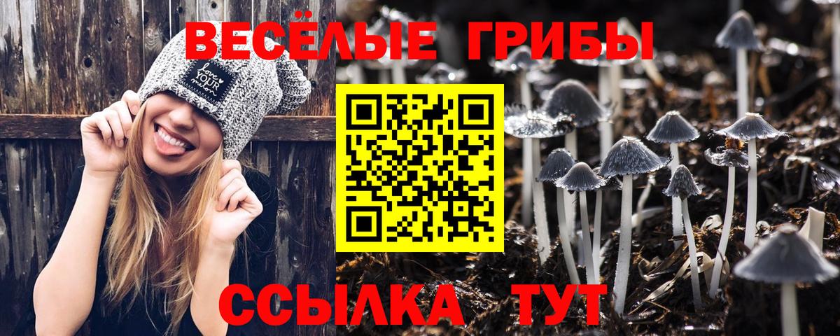 Галлюциногенные грибы Magic Shrooms Туапсе